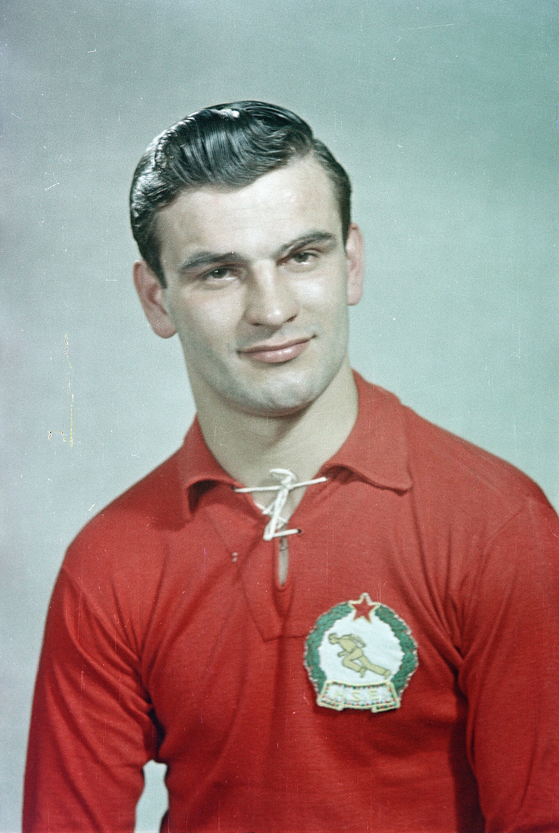 Portrait of Sándor Kocsis
